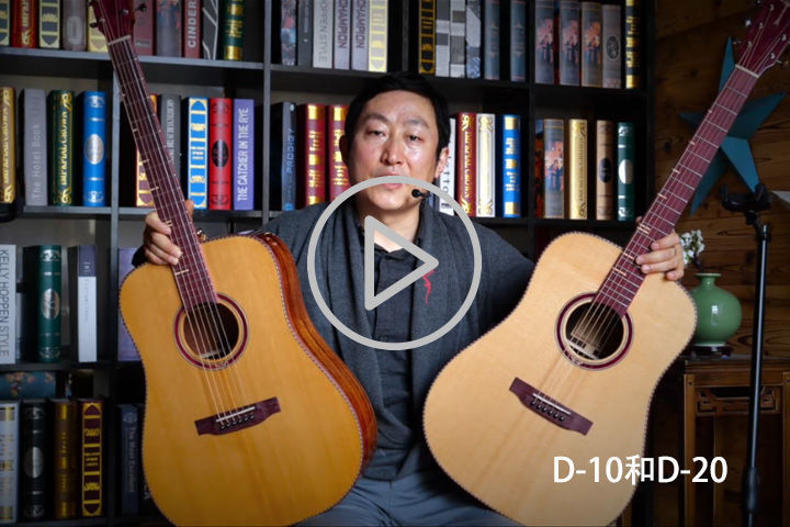 TYMA D-10 vs D-20测评