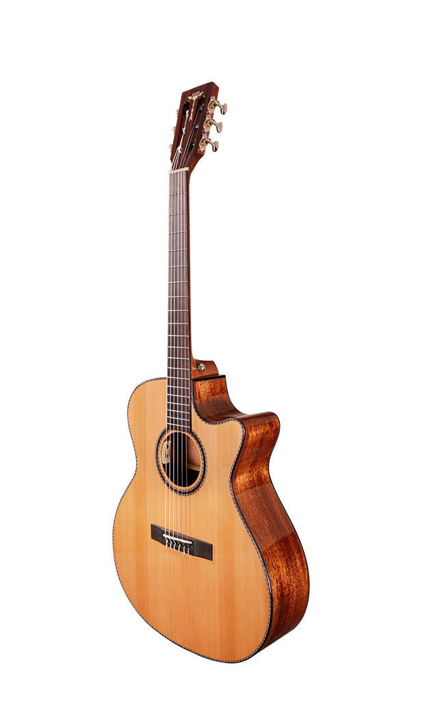 G-15E Acoustic-Classic Mixed