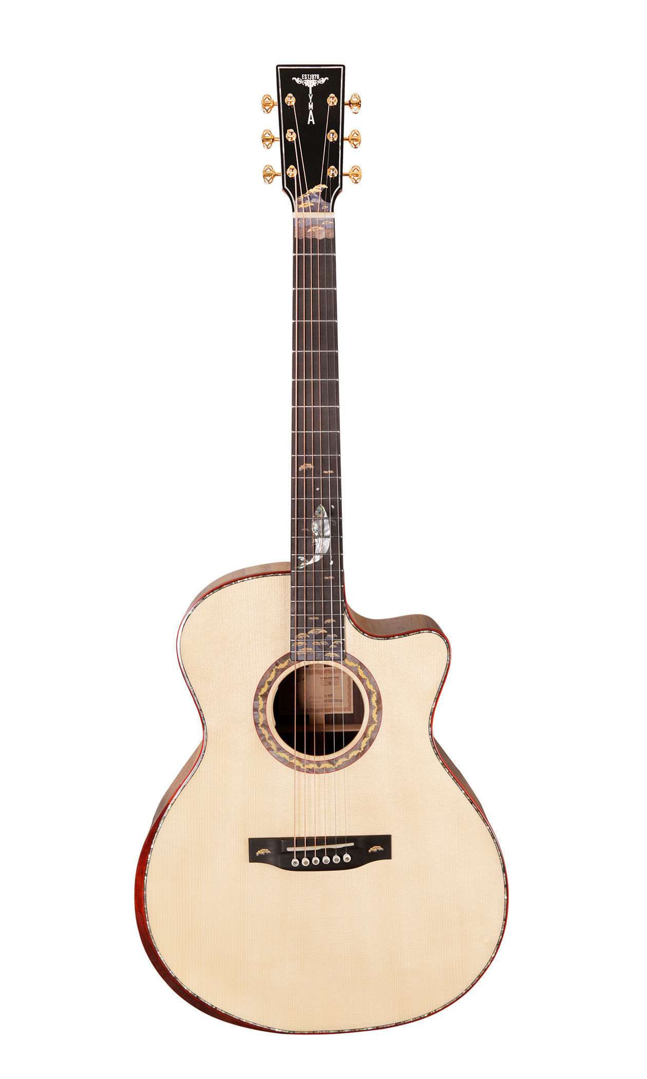 attachmentguitar bag,strap,pickguard,cloth,warranty card